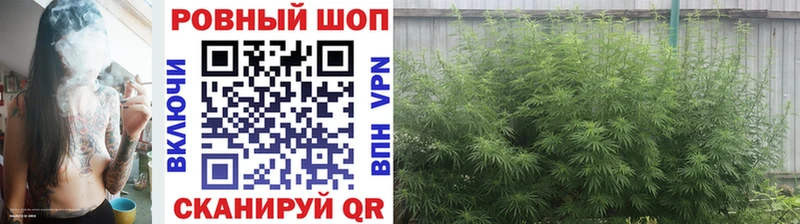 Как найти наркотики Пересвет Амфетамин  МЕФ  Гашиш 