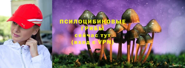 MESCALINE Шадринск