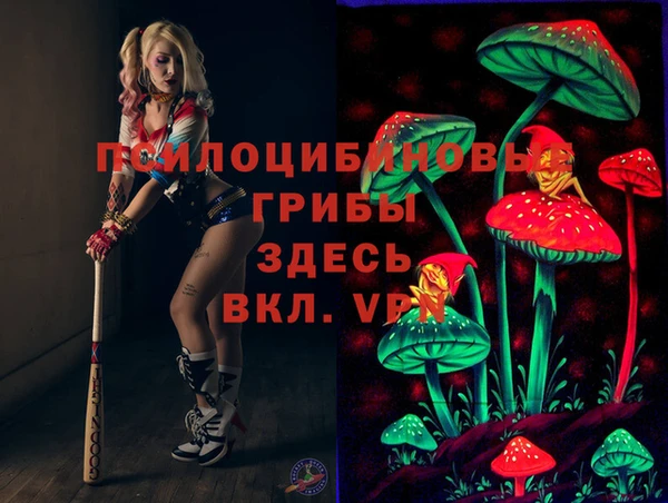 молекула духа Дмитровск