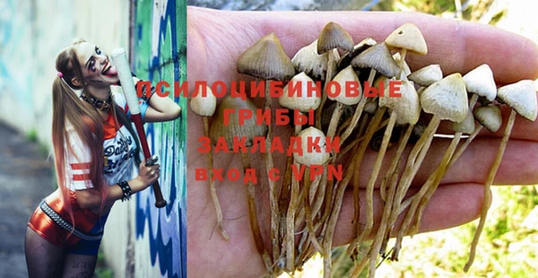 сатива Осташков