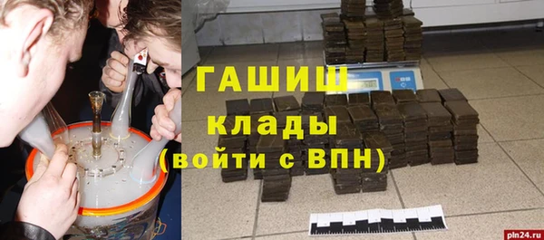 гидра Дмитров