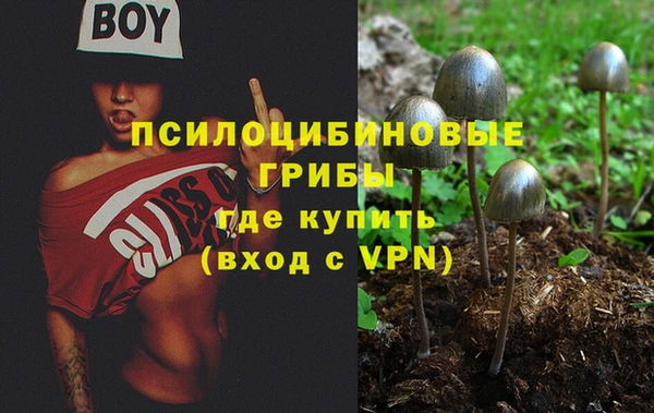 гидра Дмитров