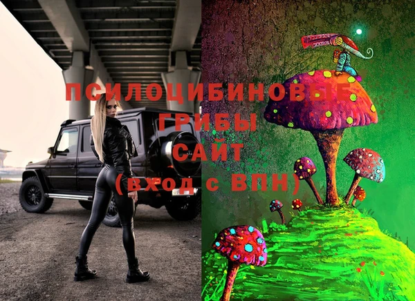 гидра Дмитров