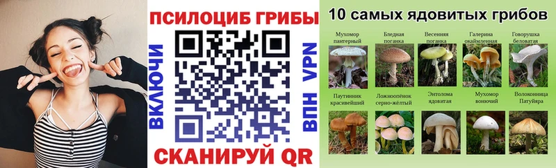 где продают наркотики  Пересвет  Галлюциногенные грибы MAGIC MUSHROOMS 